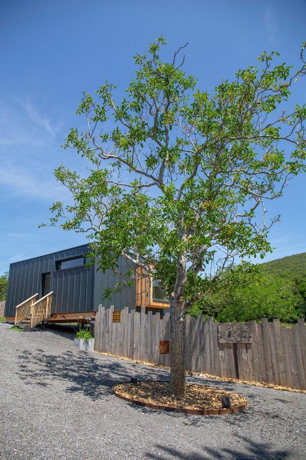 Vibe Luxury Cabins Arnuero Exteriér fotografie
