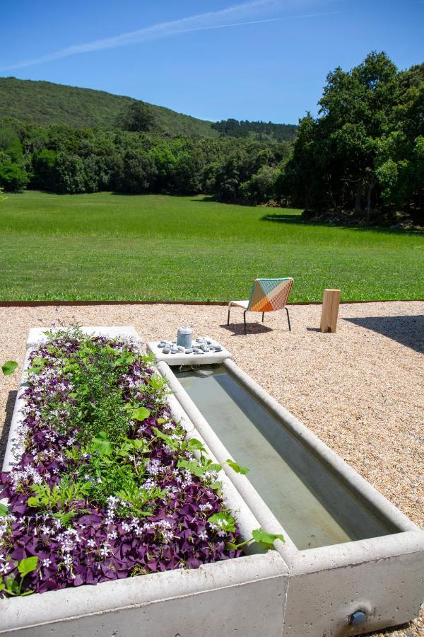 Vibe Luxury Cabins Arnuero Exteriér fotografie